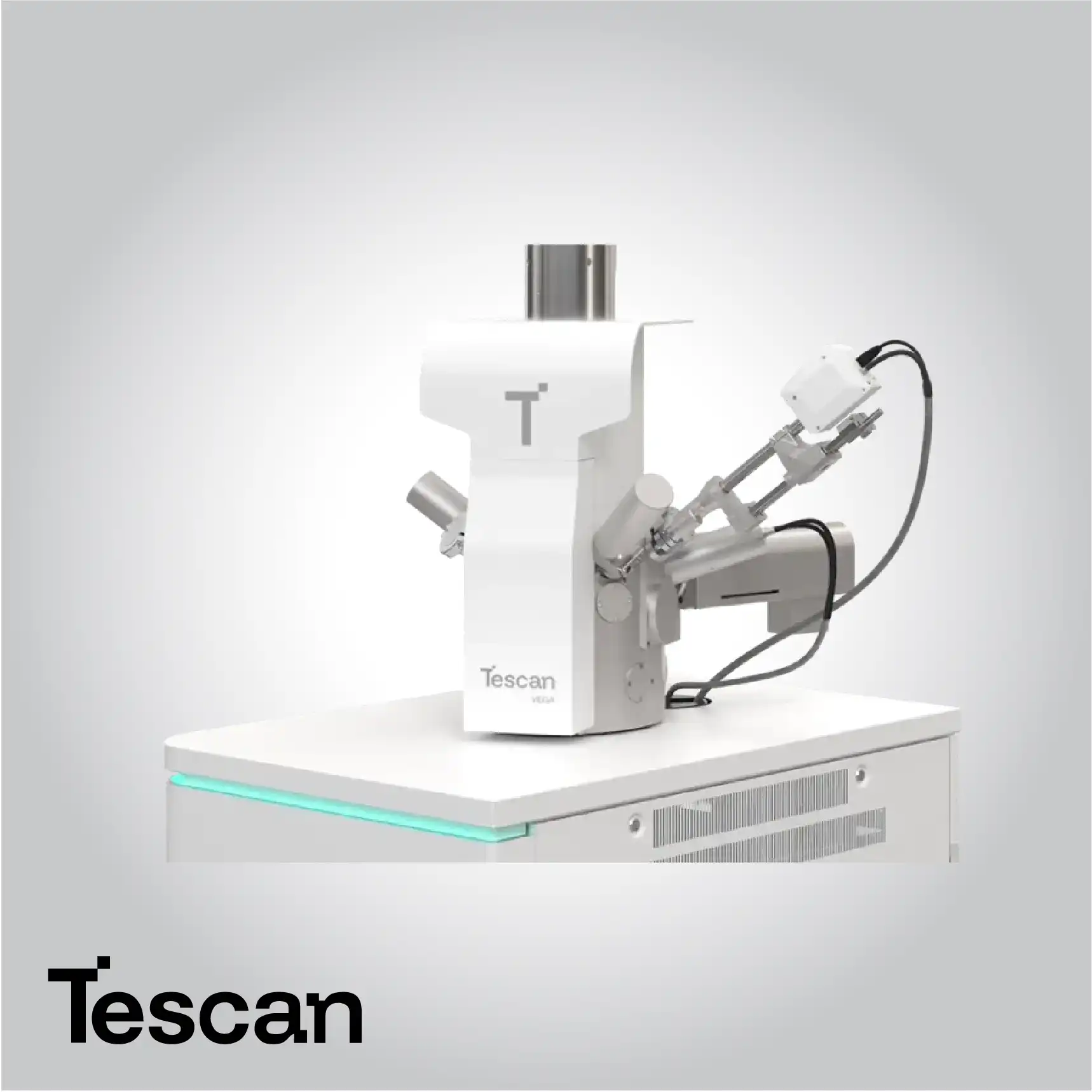 المجاهر الإلكترونية الماسحة من Tescan لعلوم الحياة